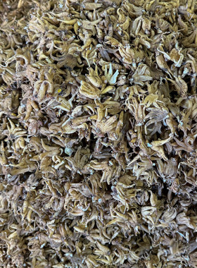 西藏手掌参林芝海拔4000米自然晾晒佛手参250克包邮