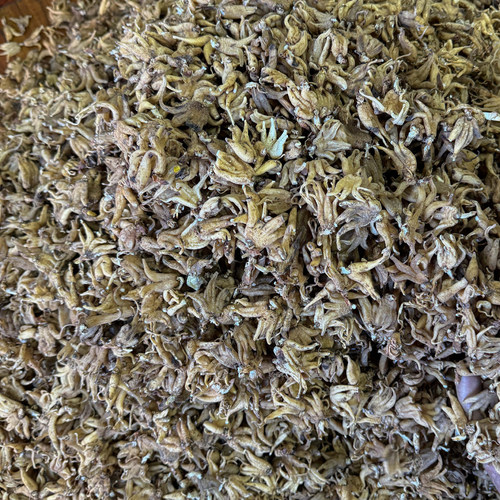 西藏手掌参林芝海拔4000米自然晾晒佛手参250克包邮