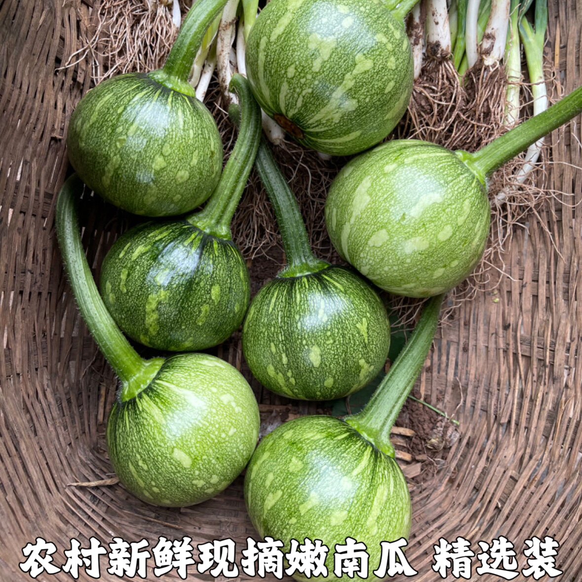 新鲜嫩南瓜湖北宜昌特产小南瓜 南瓜仔农家自种应季新鲜蔬菜瓜果