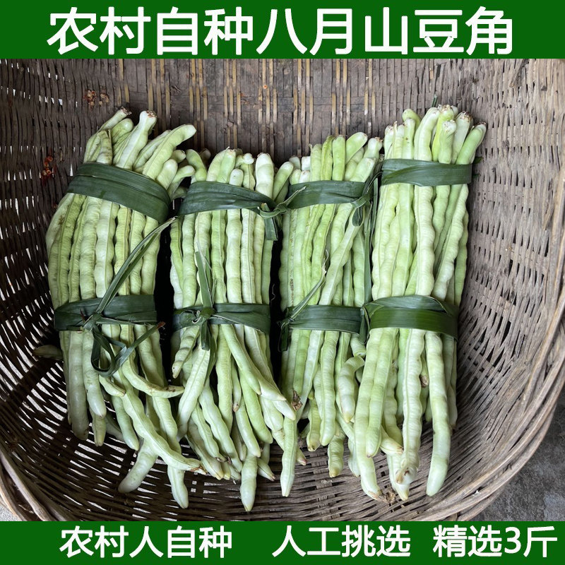 农家现摘八月山豆角老豆角四季豆角八月爪豇豆豆角新鲜蔬菜