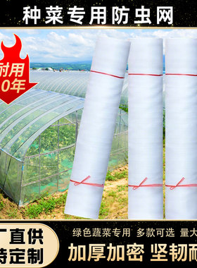 种菜专用防虫网蔬菜果园