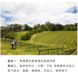 【性价比 口粮之选】澳大利亚南澳产区著名酒庄西拉葡萄酒14.2度