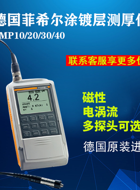德国菲希尔涂层测厚仪ISOSCOPE FMP10 20 30 探头FTA3.3H FGAB1.3