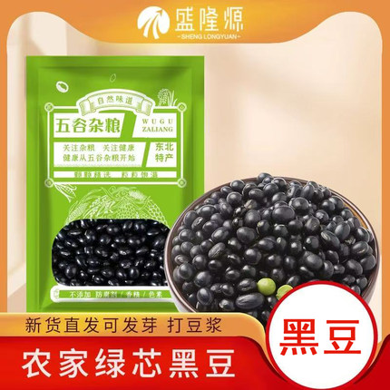 东北绿芯心小黑豆新鲜农家自产5斤装五谷杂粮豆芽豆浆可醋泡青仁