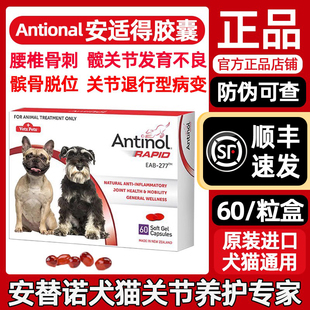 安它诺软骨素新西兰安替诺Antinol277髌骨脱位狗猫关节骨刺炎瘸腿