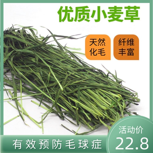 25年新烘干小麦草干草兔子草龙猫荷兰猪牧草饲料粮食毛重1000g