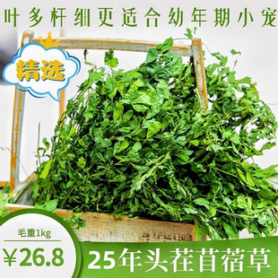 25年新烘干紫花苜蓿草干草幼兔草兔子草龙猫荷兰猪豚鼠宿苜草饲料