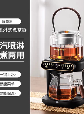 【国补】2025年新款纯钛煮茶器全自动上水养生壶家用泡茶萃茶机