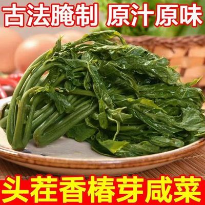 香椿芽咸菜新鲜腌制头茬