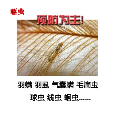 驱虫羽螨羽虱毛滴虫球虫蛔虫线虫