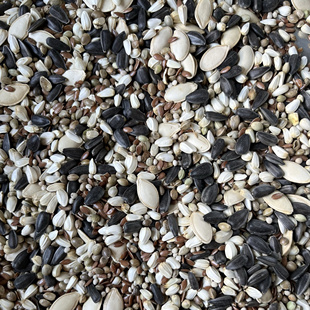 混合油料鹦鹉鸟食饲料混合大中小型鹦鹉鸟粮零食瓜子麻子红花籽