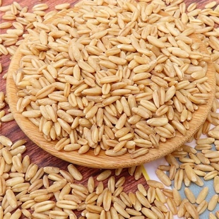 燕麦米鹦鹉零食新粮真空包装1斤 500g