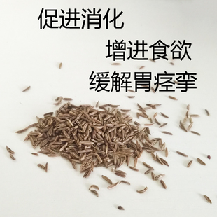 葛缕子籽50克 凯莉茴香 鸟用健肠胃抗炎助消化增进食欲缓解胃痉挛