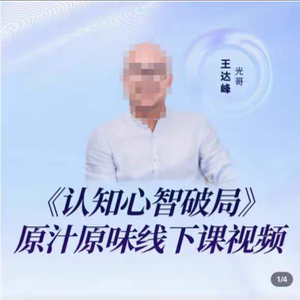 光哥王达峰认知心智破局视频课