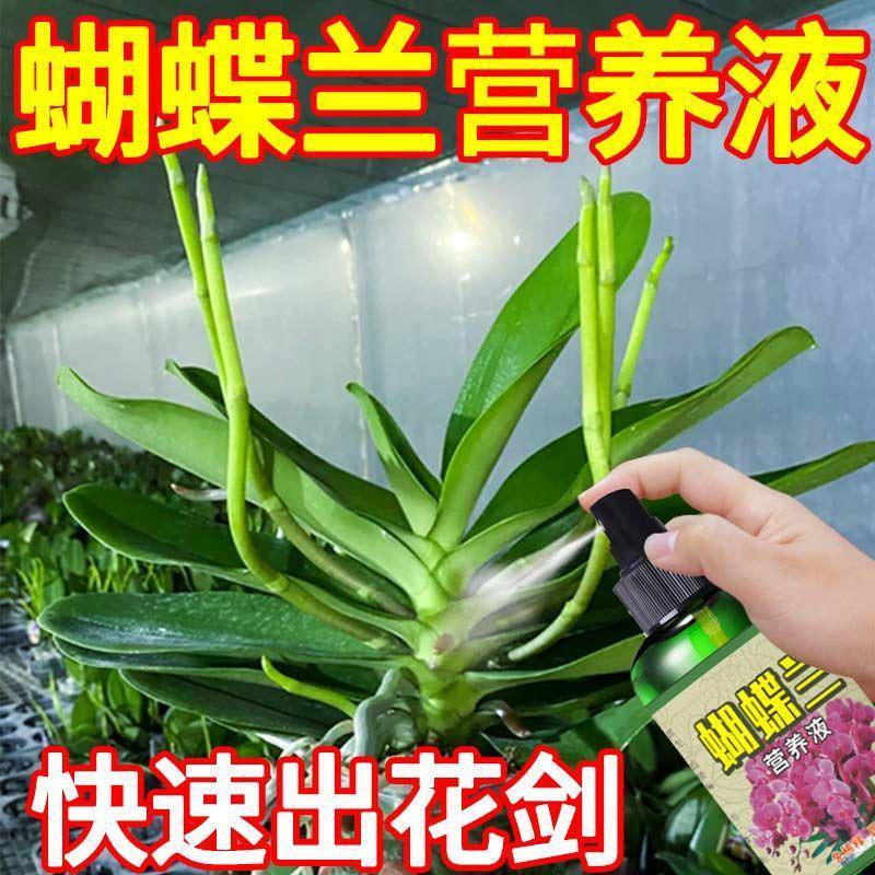 养花肥料花草营养液通用蝴蝶兰烂根专用营养液叶子发黄根腐黑斑病
