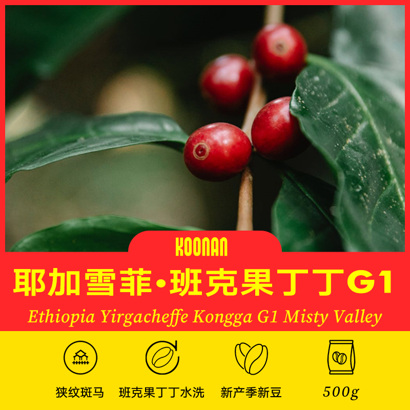 咖啡豆生豆 埃塞尔比亚耶加雪菲果丁丁 G1水洗精品原生豆种新产季