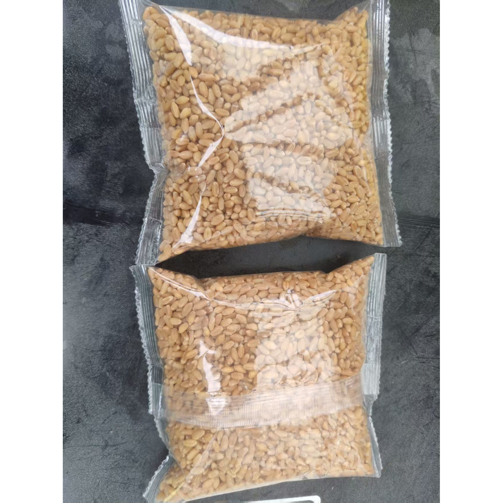 杂粮小麦粒麦芽糖食用磨面药引麦芽糖发芽草种子榨汁酿酒猫草烘焙