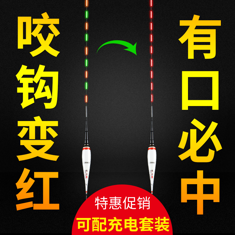 µç×ÓÆ¯