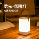 led照明灯超长续航usb充电户外露营柔光氛围灯家用停电应急手提灯