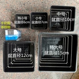 Маленькая милая красавица корень пластикового цветочного горшка многосеченое пейзаж небо сказочный мяч Shengshi Flower свинина Conepertex