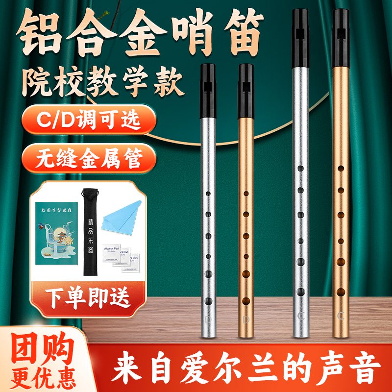 初学爱尔兰哨笛CD调儿童成人竖笛