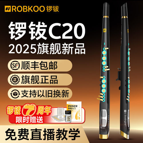 ROBKOO锣钹C20电吹管乐器可置换