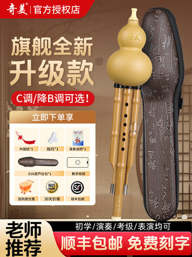奇美葫芦丝乐器初学者儿童防摔C调降B调小学生课堂专用民族葫芦丝