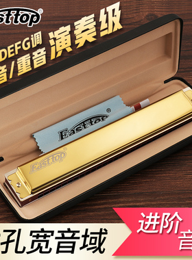口琴男女高级成人easttop28孔重音复音ABCDEFG专业演奏东方鼎