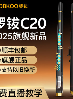 ROBKOO锣钹C20电吹管乐器官方中老年笛子置换以旧换新旗舰店