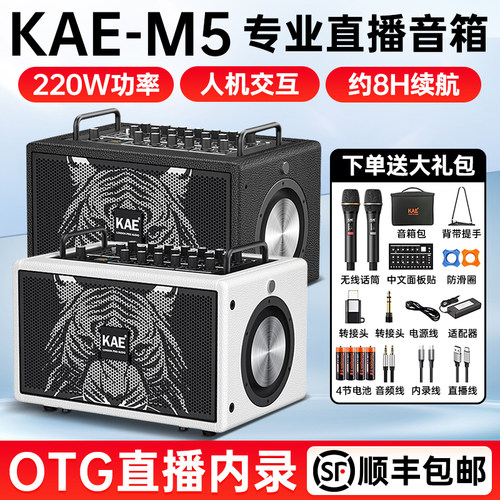 英国KAEM5虎头音箱乐器专用