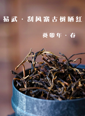 论系普洱 2024年头春 易武刮风寨300年纯古树晒红茶 350g罐装散茶