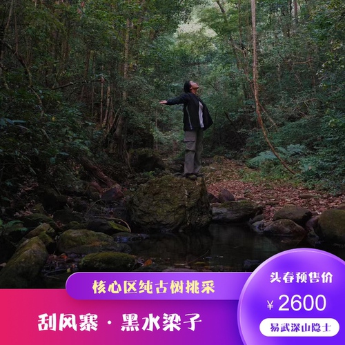 2026年头春头采刮风寨黑水梁子