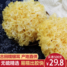 银耳白木耳古田特产500g雪银耳干货糯耳银耳莲子羹农家自产新货