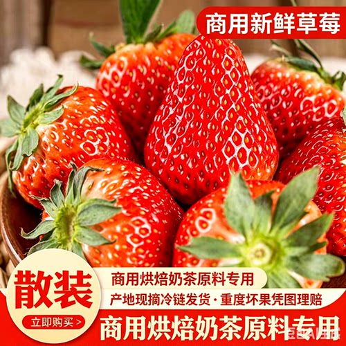 云南夏季草莓商用糖葫芦蛋糕奶茶