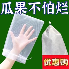 水果套袋防鸟通用瓜果防虫网袋无花果枇杷葡萄桃子草莓透气使用袋