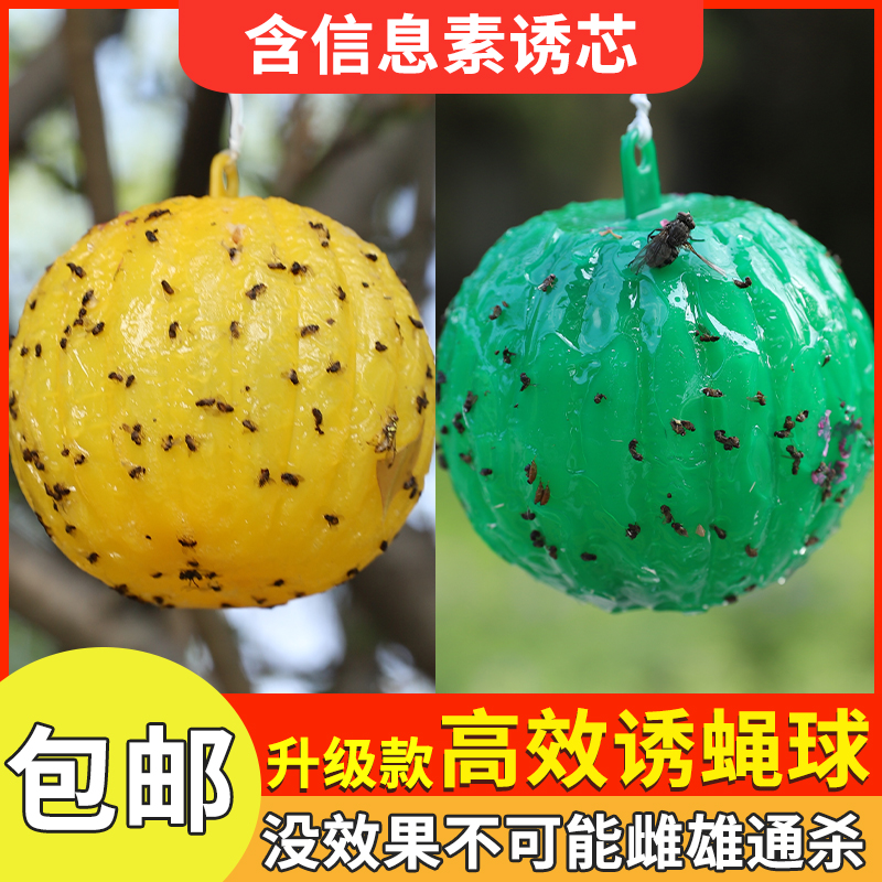 果蠅誘捕器滅小飛蟲室內殺小黑蟲