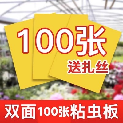 黄板双面粘虫板蓟马纸贴黄蓝飞虫果园沾果蝇捕器粘板大棚