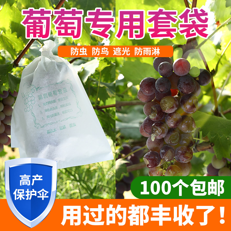 葡萄保护套袋专用袋防虫鸟葡萄套育袋葡纸袋果袋袋子防水萄专用的