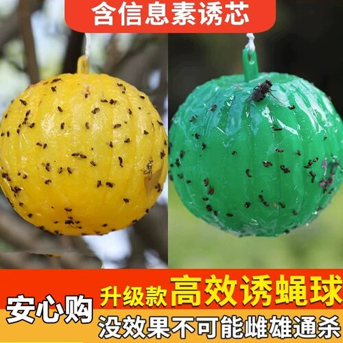 灭果蝇诱捕器去室内小飞虫
