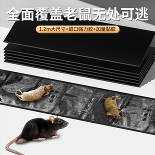 加强粘性粘鼠板大老鼠贴捕鼠老鼠克星透明隐形大号家用灭黏粘鼠毯