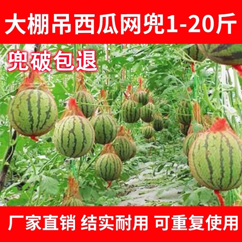 西瓜网兜大棚吊瓜加厚带绳网眼袋