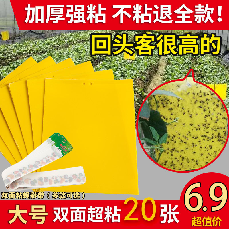 粘虫板双面诱虫板果蝇大棚