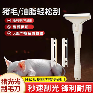 猪光光刮毛刀刮猪皮油脂刀大号刀片刮猪毛刮油猪蹄刨毛刀神器锋利