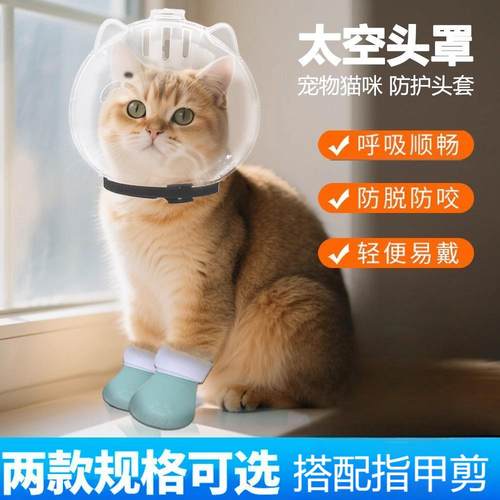 猫头套猫咪伊丽莎白圈防咬神器