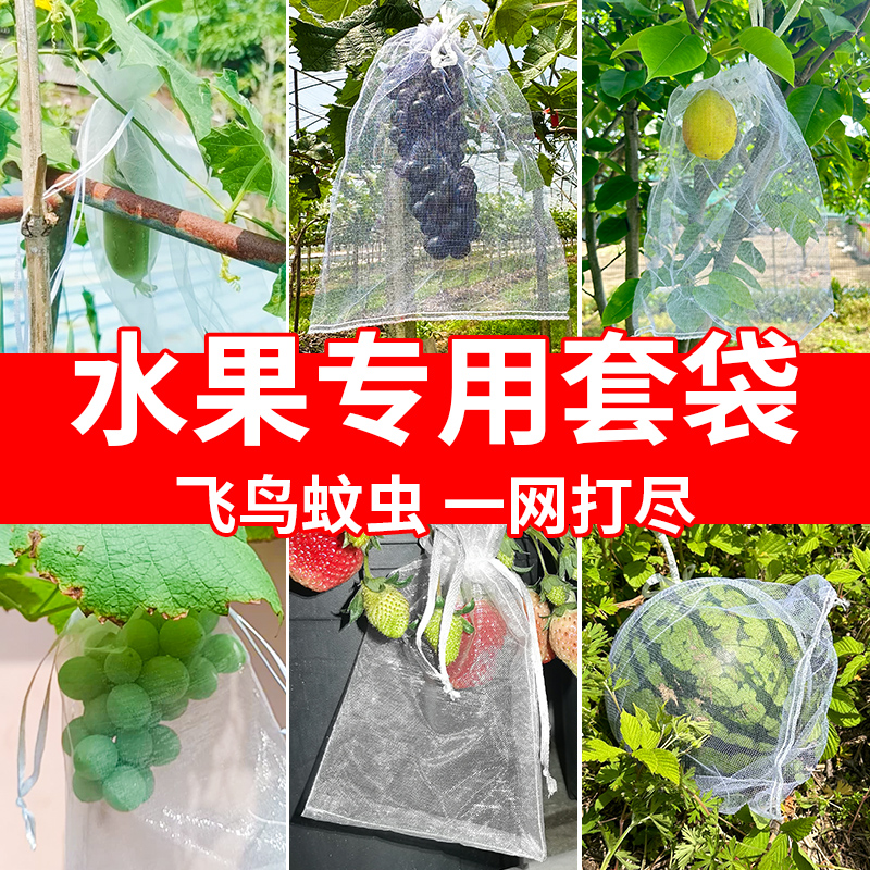 果树防虫网袋防鸟纱网袋保护葡萄袋无花果番石榴草莓套袋桃子套袋 鲜花速递/花卉仿真/绿植园艺 园艺用品套装 原图主图