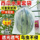 西瓜套袋防鳥防蟲通用袋防果神蠅器透氣透光冬瓜水果瓜果套袋果袋
