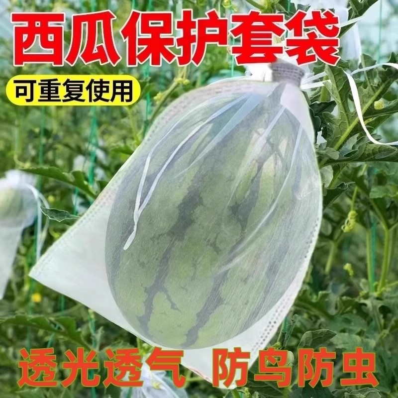 西瓜套袋防鸟防虫保护袋透气透光