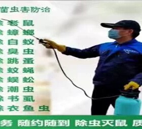 上海上门除虫灭鼠除白蚁蟑螂药跳蚤臭虫蜈蚣粘鼠板老鼠笼驱虫服务