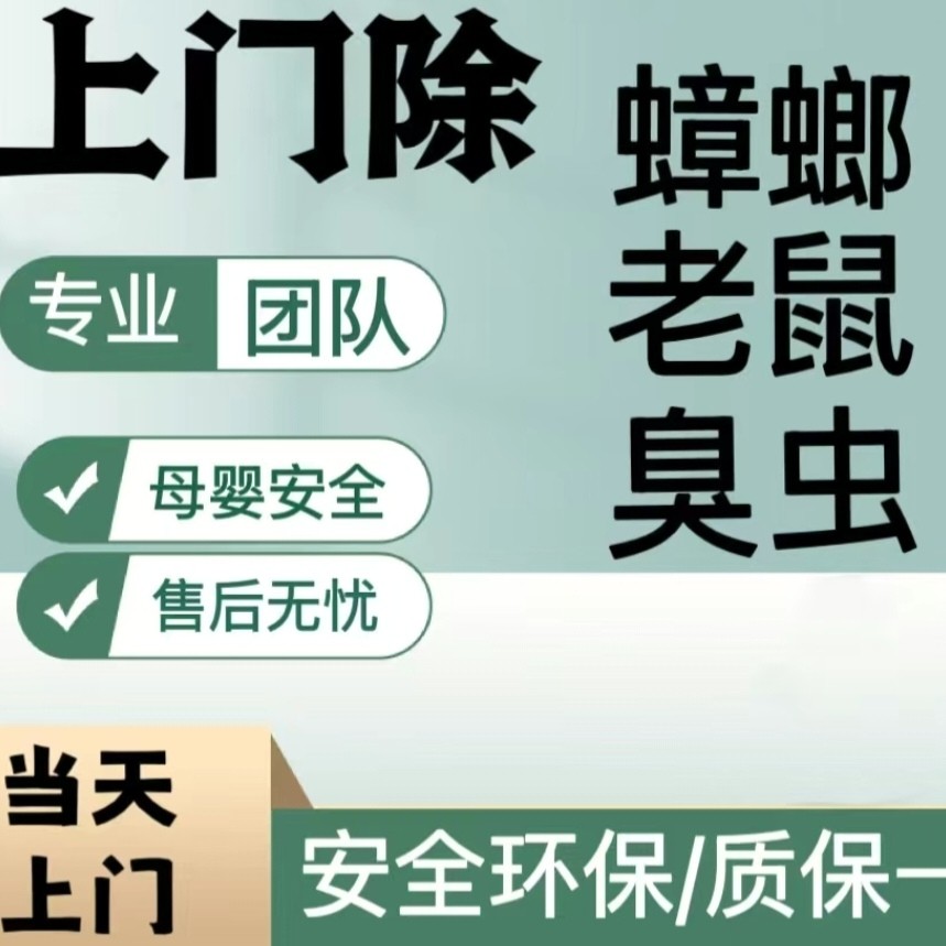 上海上门除虫灭鼠除蟑螂白蚁跳蚤各种虫害防治防治服务