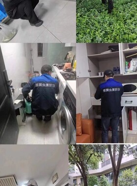 上海灭鼠灭白蚁除白蚁灭蟑螂跳蚤专业公司上门家庭单位服务